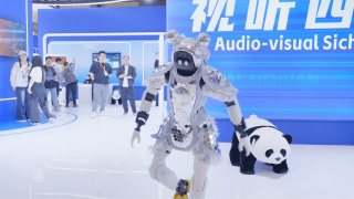 成人欧美视频